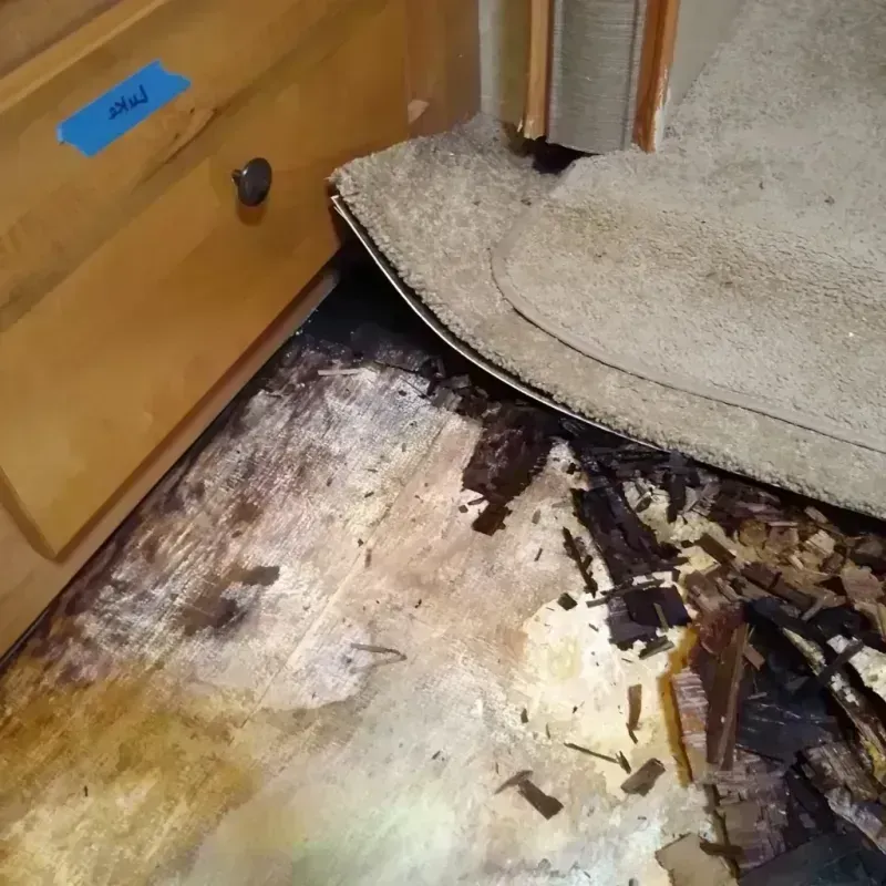 Wood Floor Water Damage in Beatrice, NE